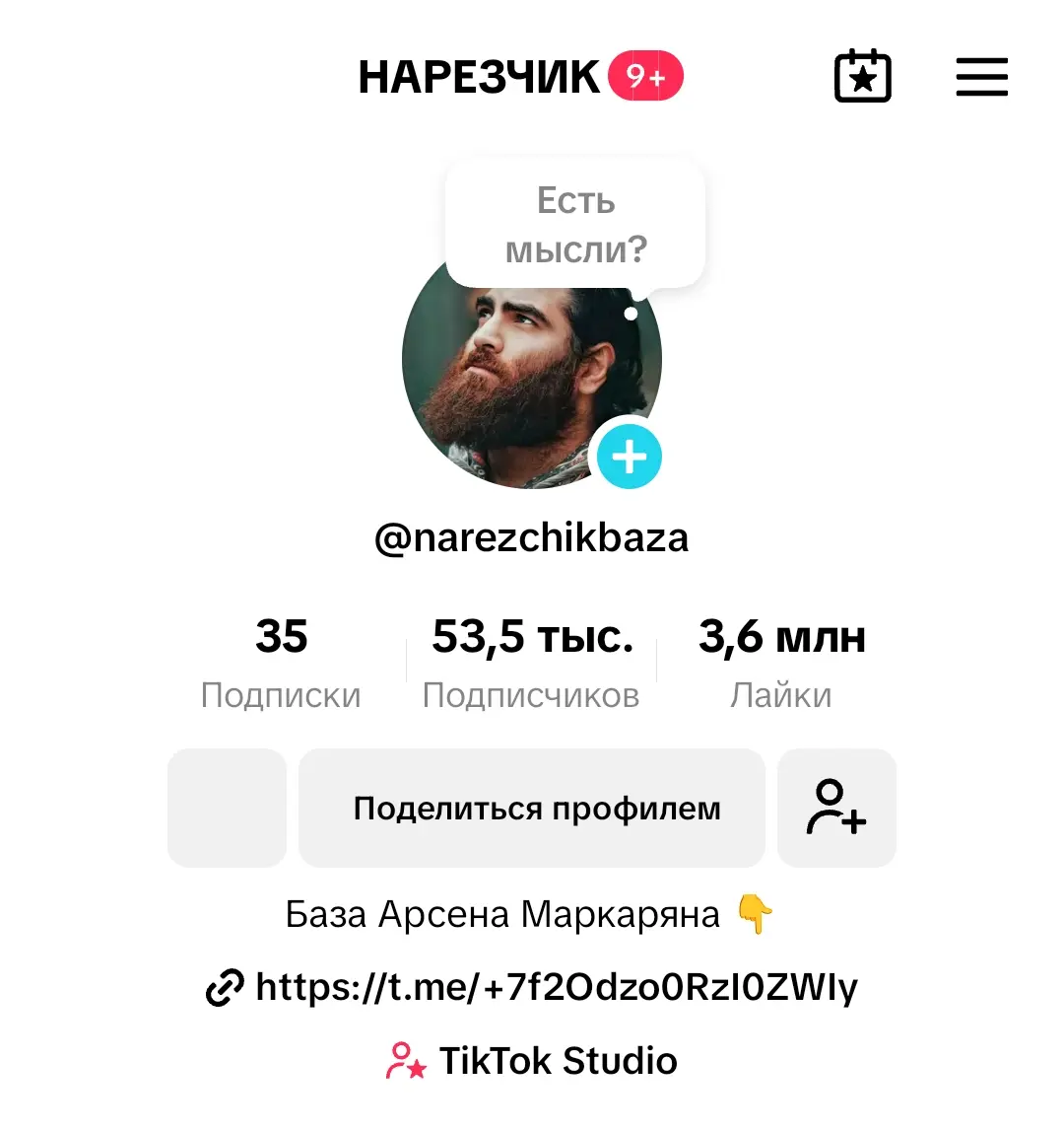 TikTok-профиль НАРЕЗЧИК Арсена Маркаряна